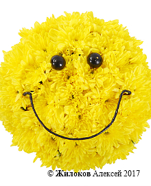 ���������� �� ��������� �������