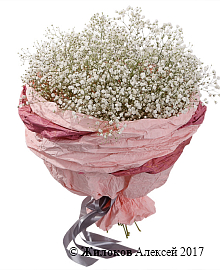 ����� �������� �����