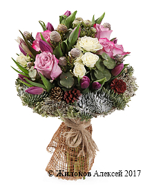 ����� ��������� ���������