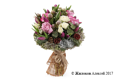 ����� ��������� ���������