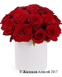 ����� 19 ������� ��� � ������� �������