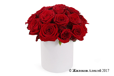 ����� 19 ������� ��� � ������� �������