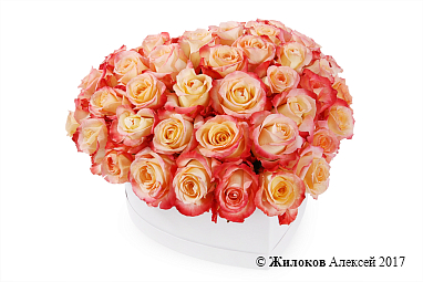 ���������� ������� ������� � ������� �������-������