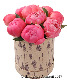 ����� 9 ���������� ������ � ������� �������