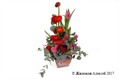 ���������� ���� ������������ � �����