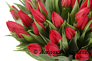 Букет 51 тюльпан, красные