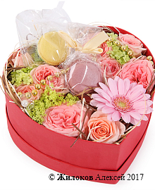 ����� ������ ����� � ������� ������� ������