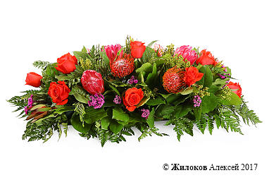 ���������� ��������� �������