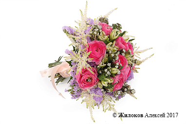 ����� ������� ����