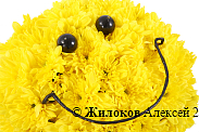 Композиция из хризантем Смайлик