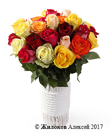 ����� ����������� ������� (35 ���) � ����