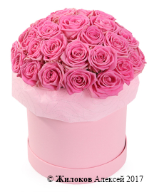 ����� 35 ��� ���� � ������� �������