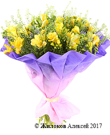 ����� ������� �����