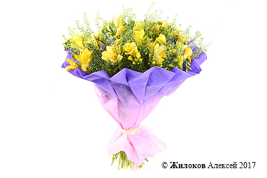 ����� ������� �����