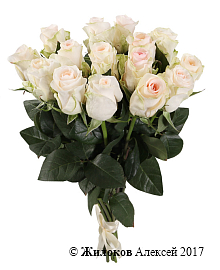 ����� 15 ��� ���������