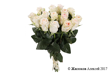 ����� 15 ��� ���������