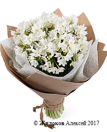 ����� �� ��������� �������� �������