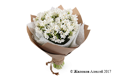 ����� �� ��������� �������� �������