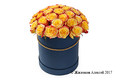 ����� 35 ��� ��� ����� � ������� �������