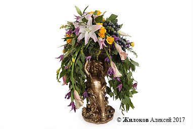 ����� ����� �������