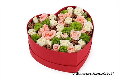 ����� ����������� ������� � ������� ������� ������