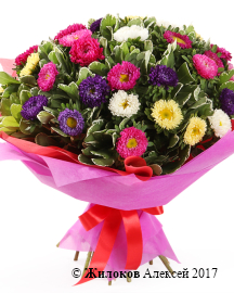 ����� �������� ����