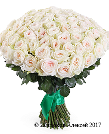 ����� 101 ���� ���� �'����