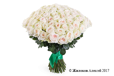 ����� 101 ���� ���� �'����