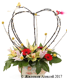 ����� ������� ���