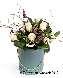 ����� ������� �� ������� � ������� �������