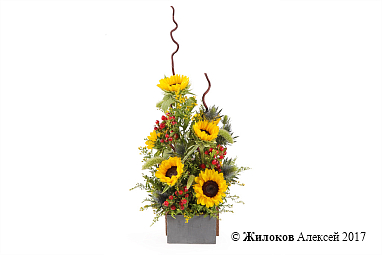 ���������� � ������������ ���� ������ � �����