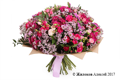 ����� ������� �������