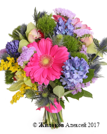 ����� ���������� ����