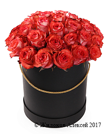 ����� 35 ��� ������ � ������� �������