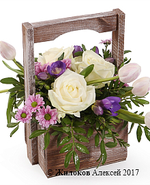 ���������� ����� ���� � �����