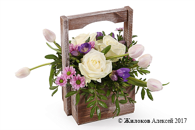 ���������� ����� ���� � �����