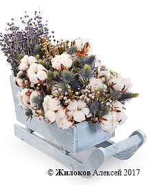 ����� � �������� ���� ����� ���������� � �����