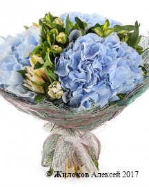 ����� � ����������� ������� ����