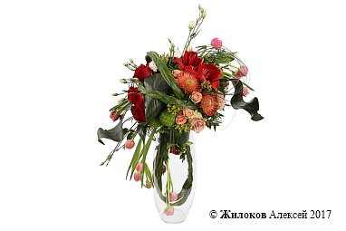 ���������� ���� ����������