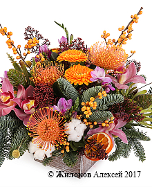 ����� ������������ ��������