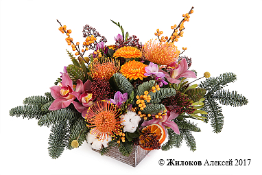 ����� ������������ ��������