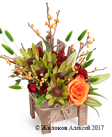 ���������� ���������� ���� � �����