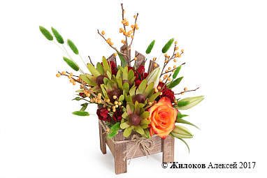 ���������� ���������� ���� � �����