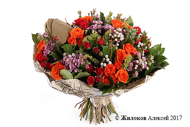 ����� ���������� ������