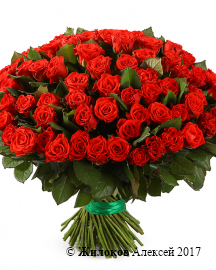 Букет 101 красная роза, 50 см