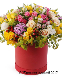 ����� ��������� ������� � ������� �������