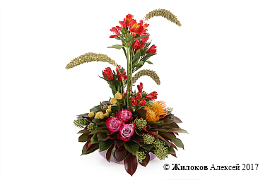 ���������� ������ ������ � �����