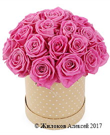 ����� 25 ��� ���� � ������� �������