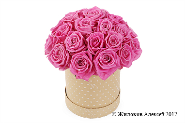 ����� 25 ��� ���� � ������� �������