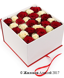 ����� ������� ��� ����� � ������� �������